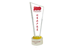 2021年度優(yōu)秀共產(chǎn)黨員-徐媛媛